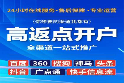 SEM代理服务：助力企业精准营销案例解析